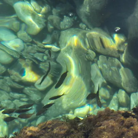 Σπίτι διακοπών Casamica Torre Canne