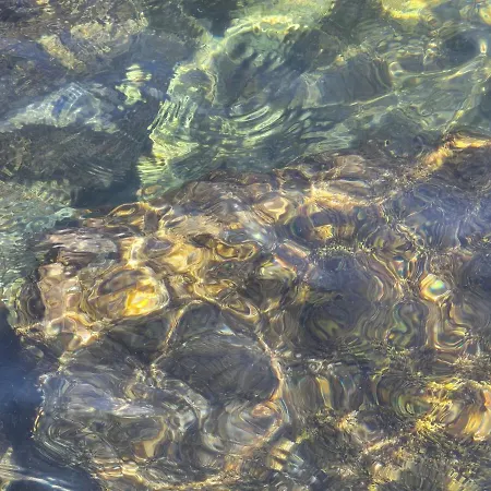 Σπίτι διακοπών Casamica Torre Canne